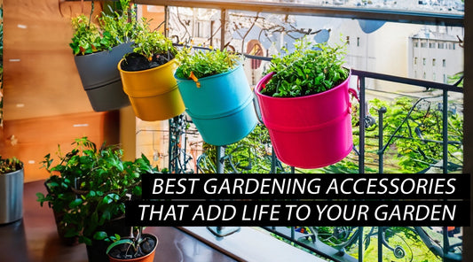 Best Gardening Accessories That Add Life to Your Garden
