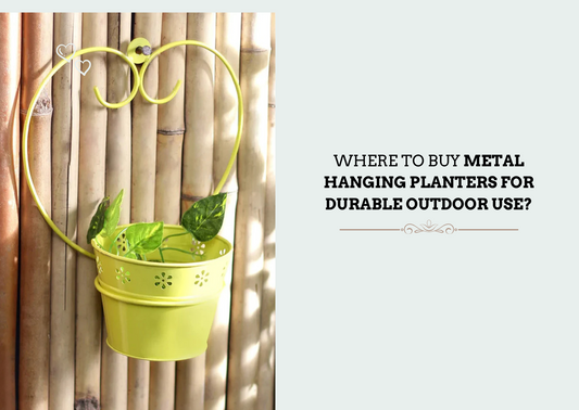 Where to Buy Metal Hanging Planters for Durable Outdoor Use?