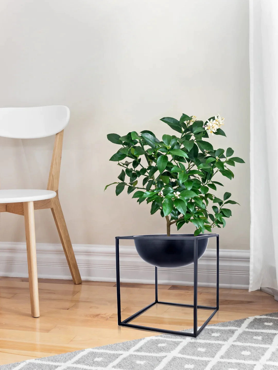 Half Dome Black Planter Stand