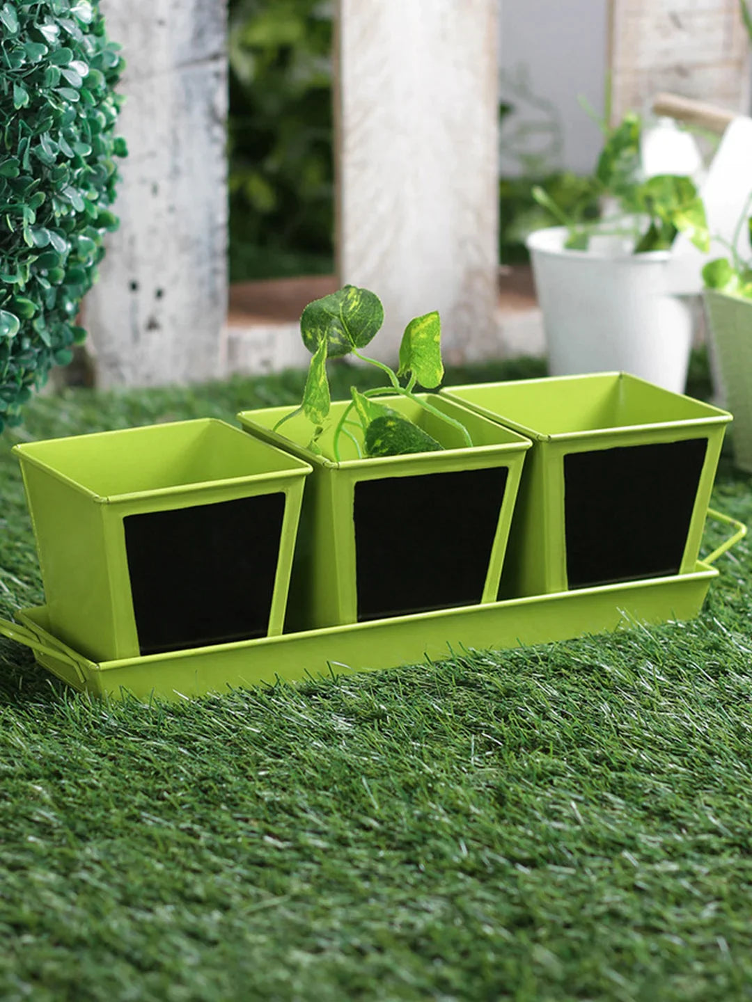 Set of three Chalk Board Painted Herb Pots Green