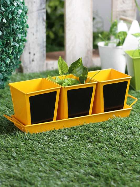 Set of three Chalk Board Painted Herb Pots Yellow