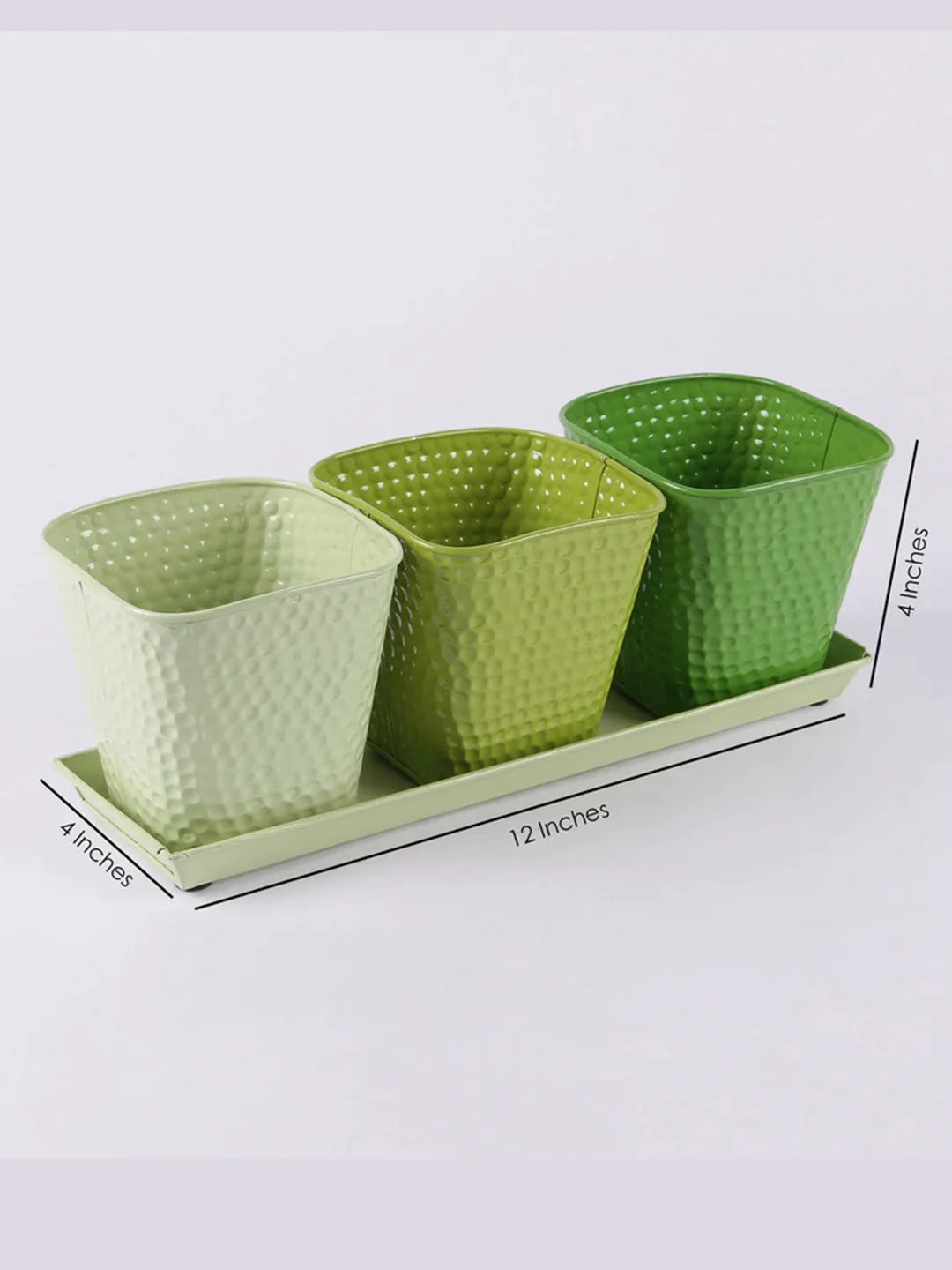 Set of three Herb Pots Green