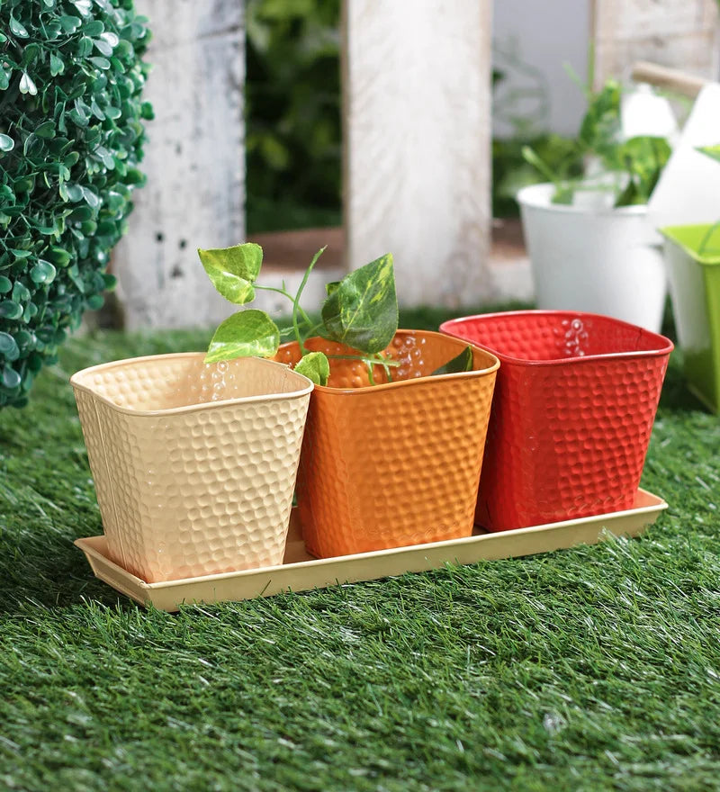 Set of three Herb Pots Red