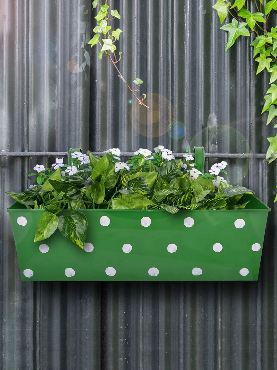 Polka Dot Rectangle Railing Planter Green 18 Inches