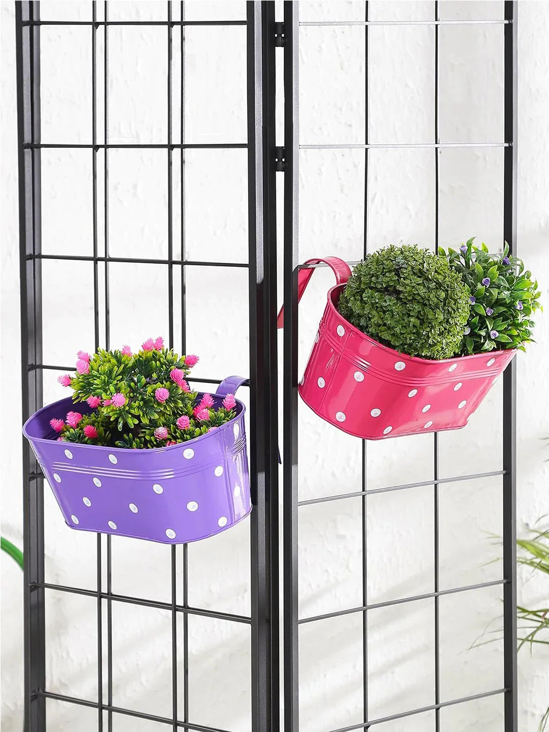 Set of two Polka Dot Oval Railling Planter Big Purple & Pink 12 Inches