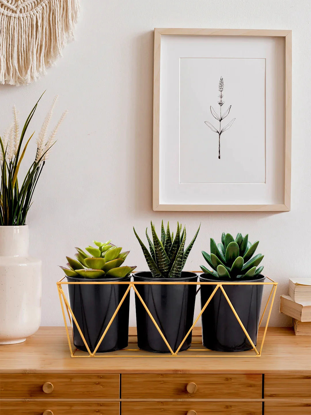 Herb Set Round Black