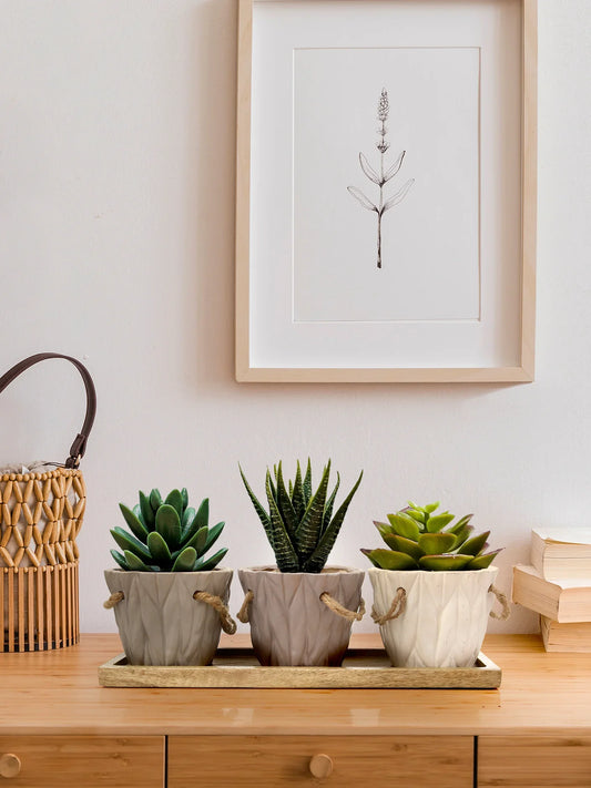 Set of Three Resin Buckets with Wooden Base