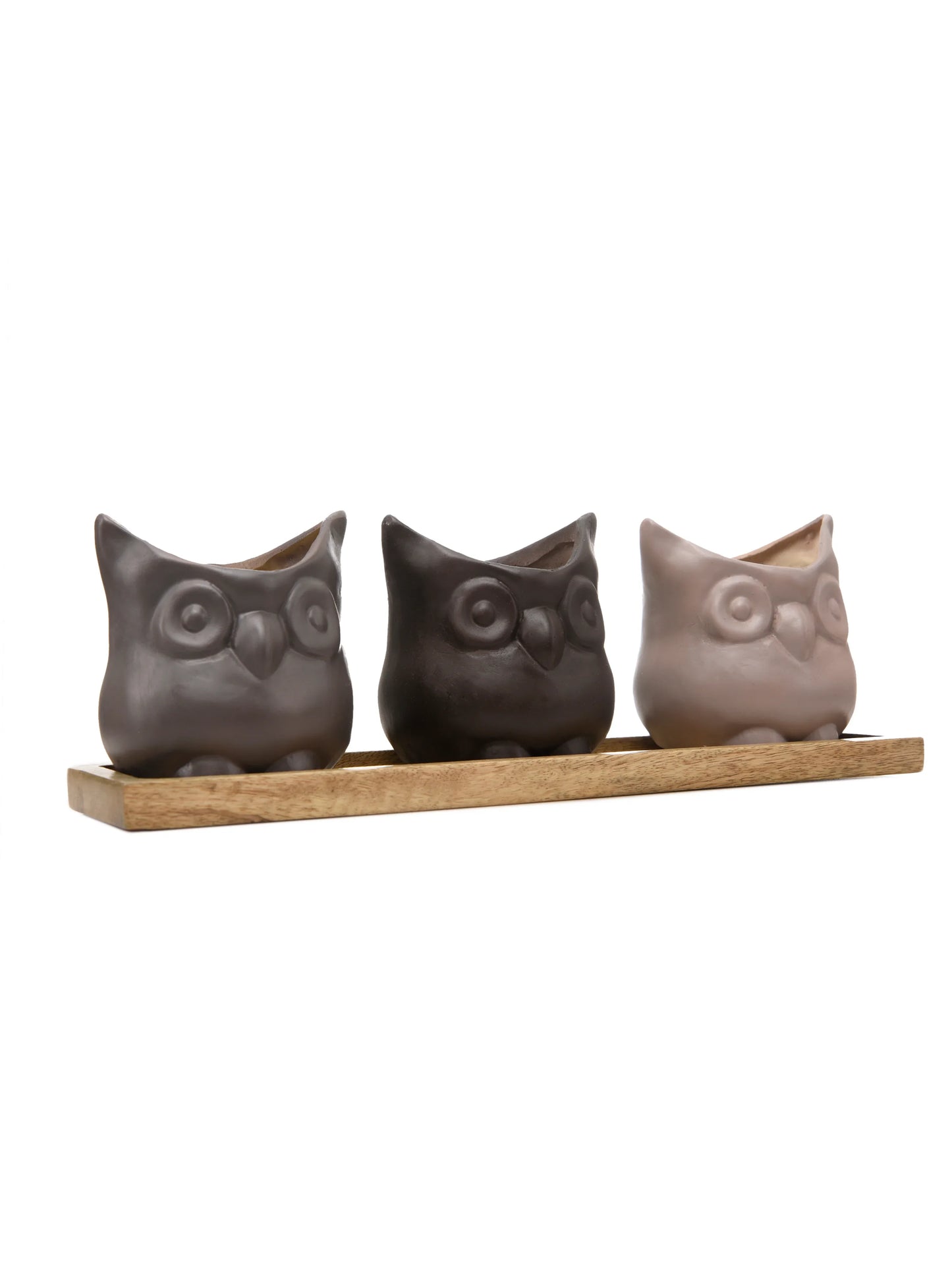Set of Three Resin Owl Pots with Wooden Base