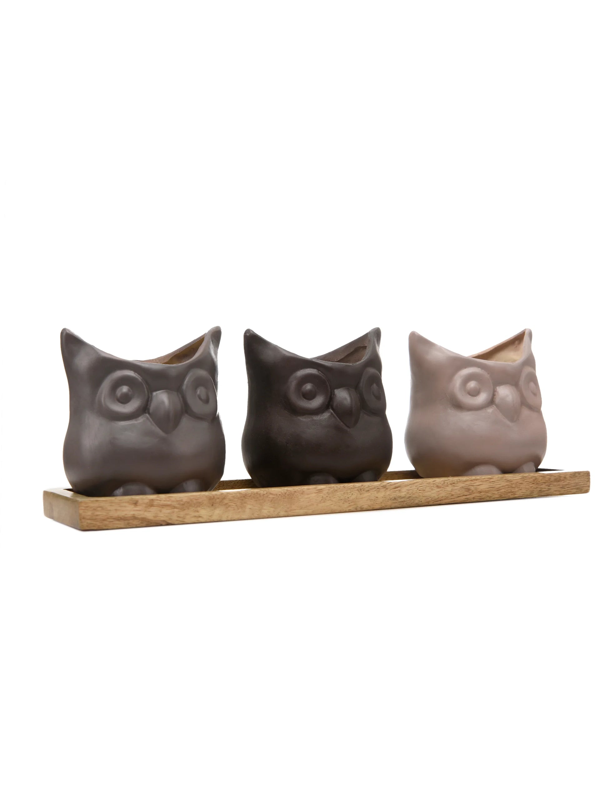 Set of Three Resin Owl Pots with Wooden Base
