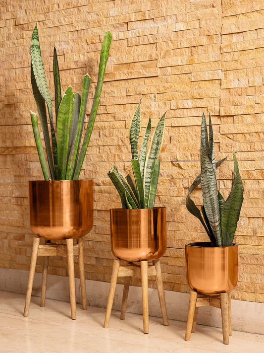 Set of Three Copper Pots with Wooden Stands