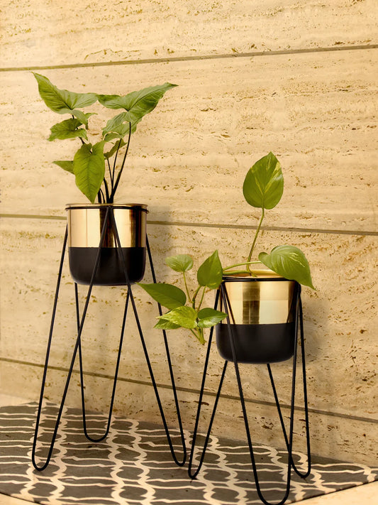 Set of Two Dual Tone Plantee Stand