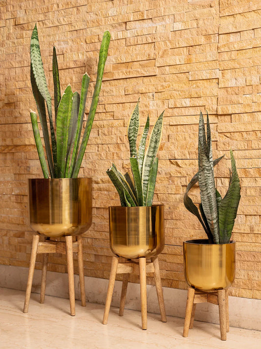 Set of Three Golden Pots with Wooden Stands