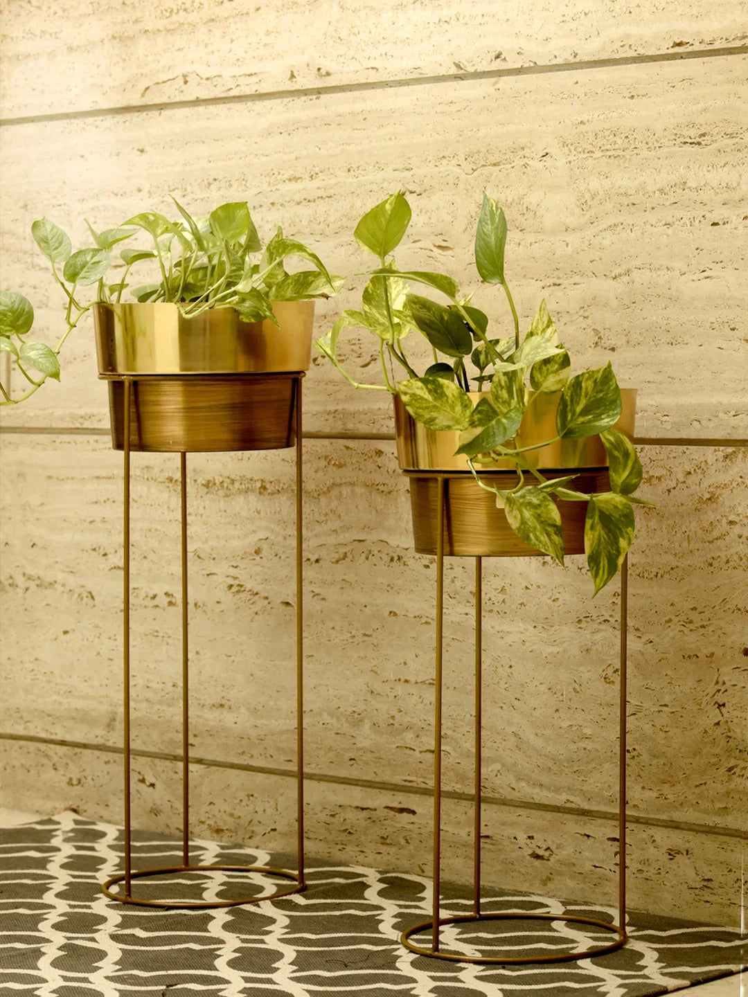 Set of Two Golden Planters