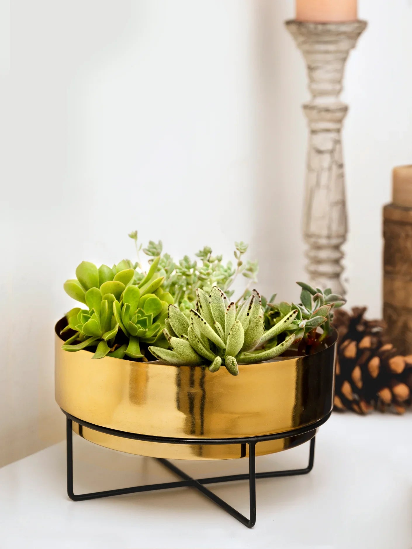 Golden Planter Pot with Black Metal Stand