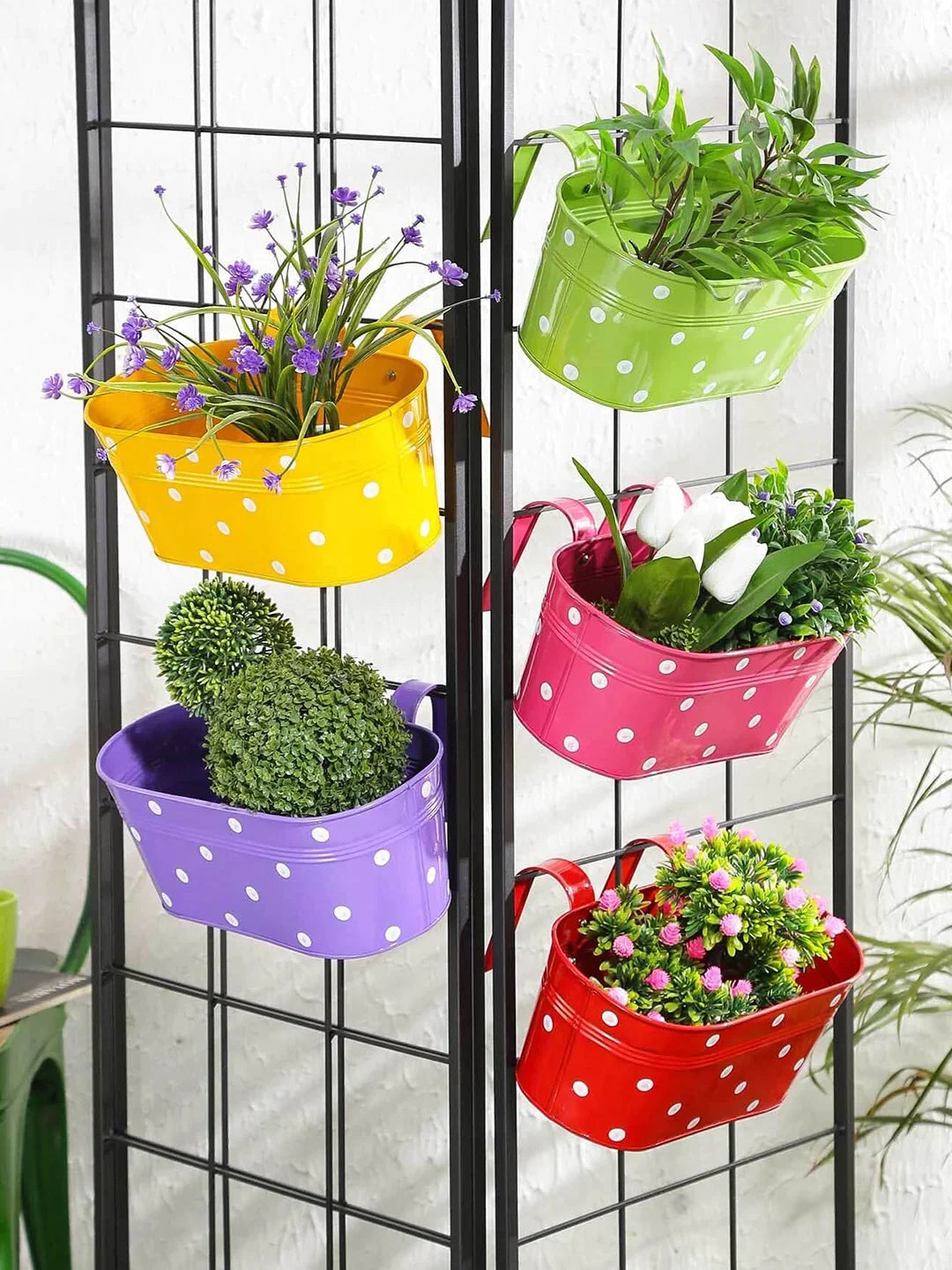 Set of Five12'' Polka Dot Oval Planters