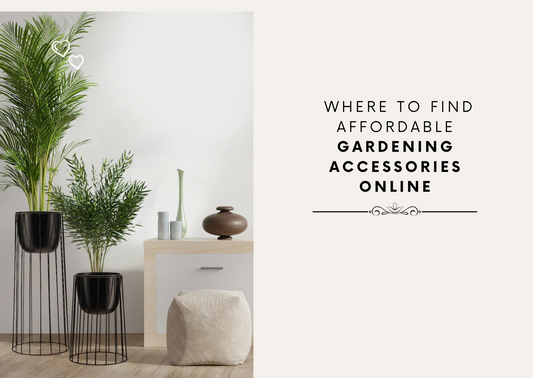 Where to Find Affordable Gardening Accessories Online