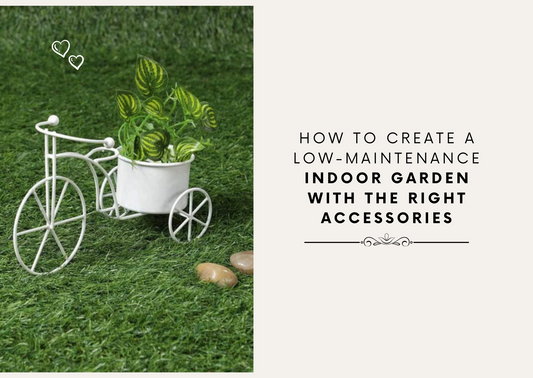 How to Create a Low-Maintenance Indoor Garden with the Right Accessories