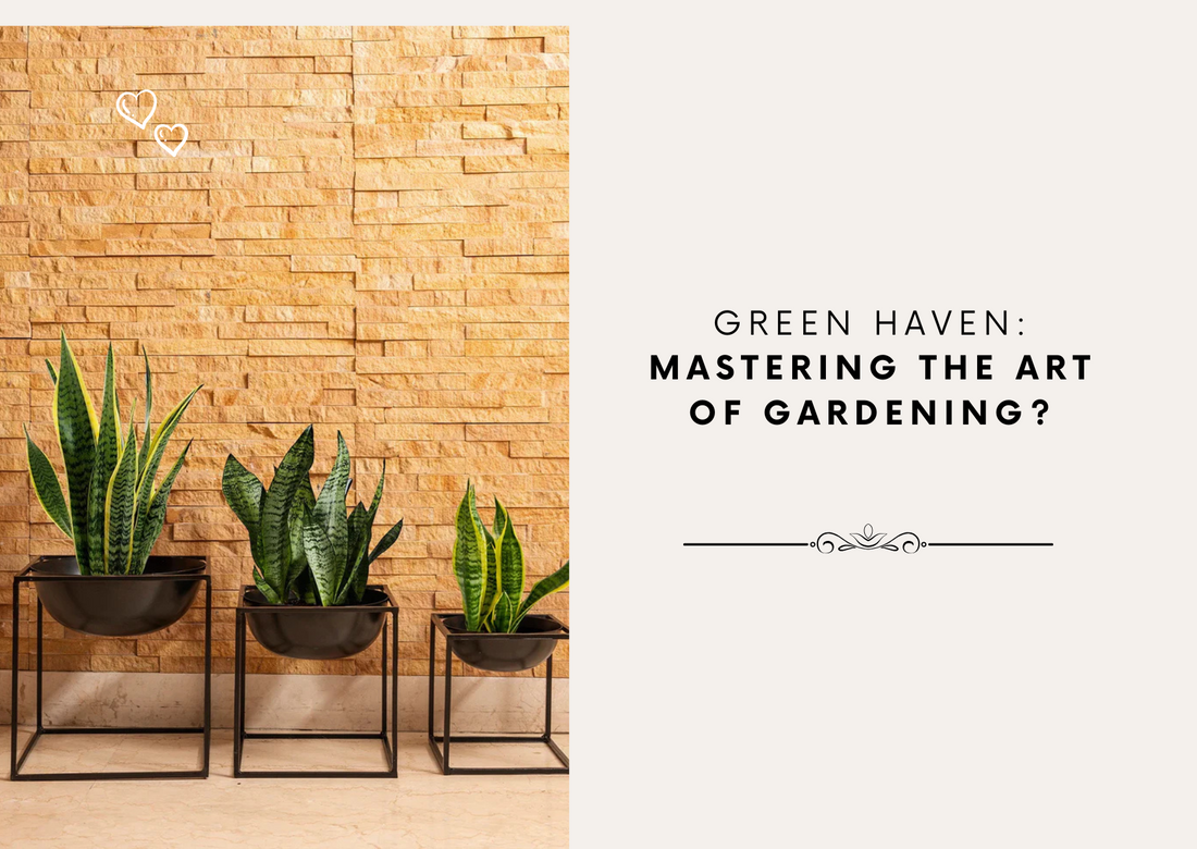 Green Haven: Mastering the Art of Gardening